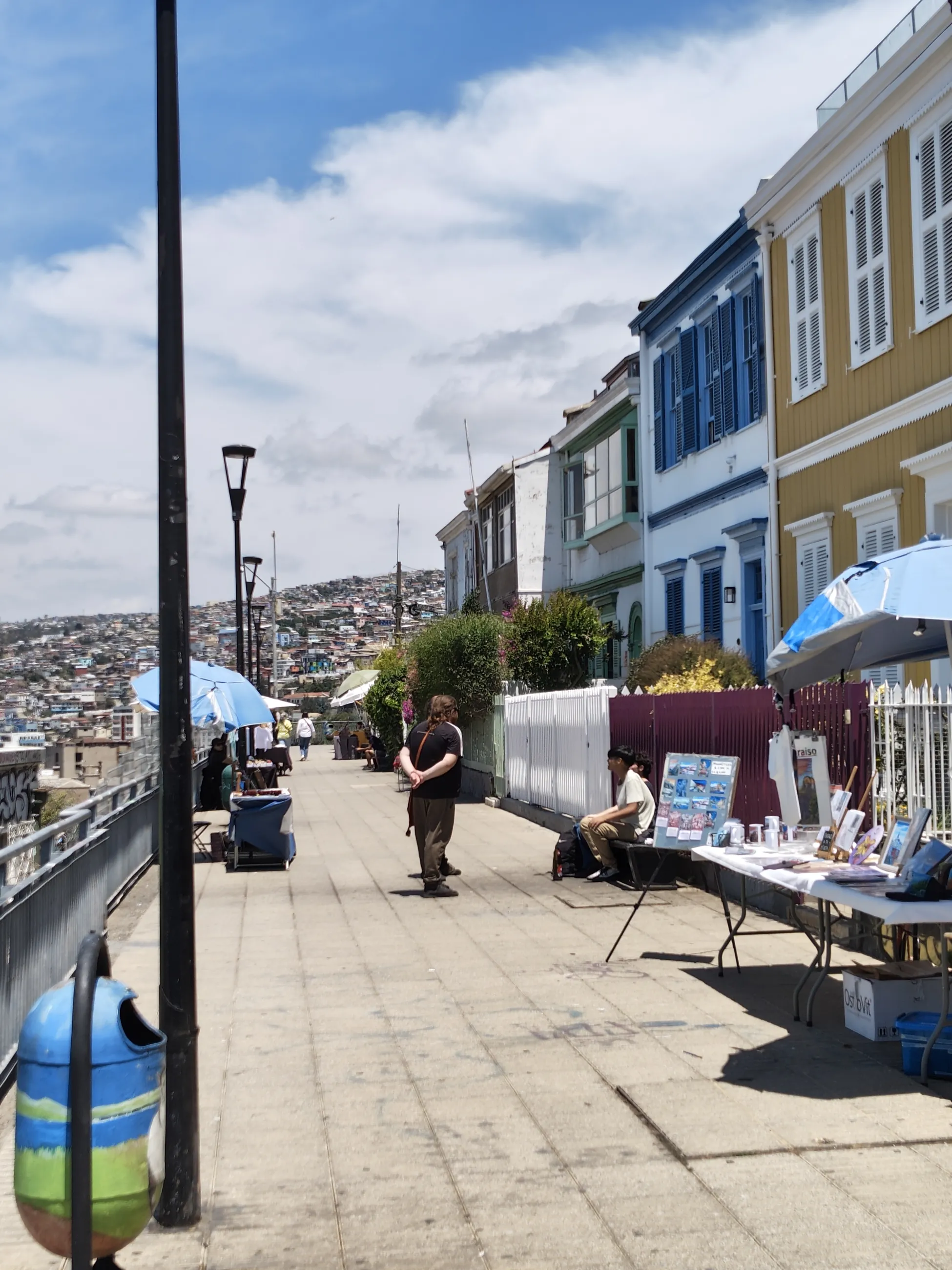 Paseo Atkinson con artesanía